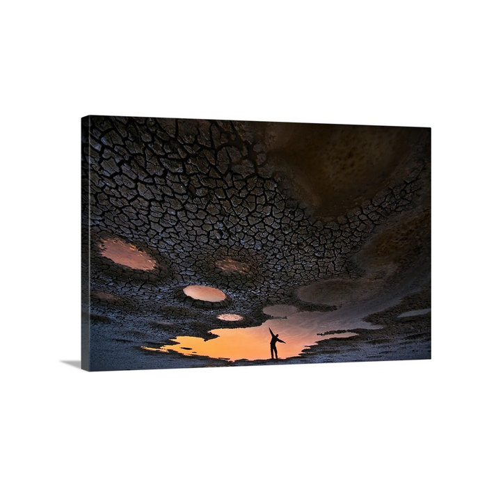 Canvas On Demand Dream Of Flying By Daniel Winter Wall Art On
