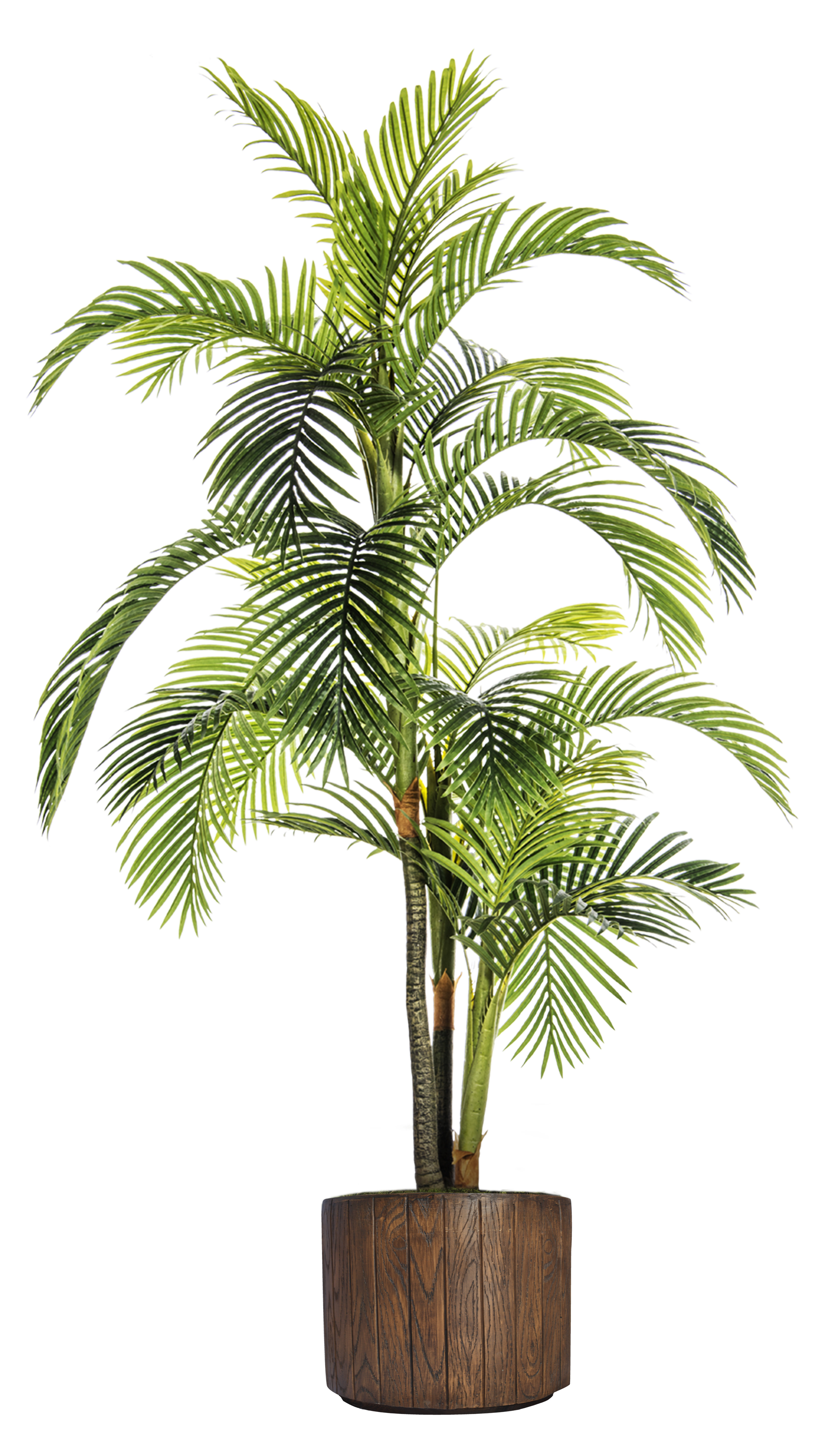 wayfair balcony planters on Bayou Breeze Fiberstone Floor Palm Tree In Planter Reviews Wayfair