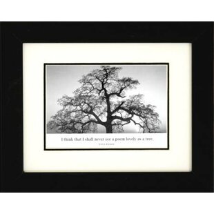 Ansel Adams Framed Wall Art Wayfair