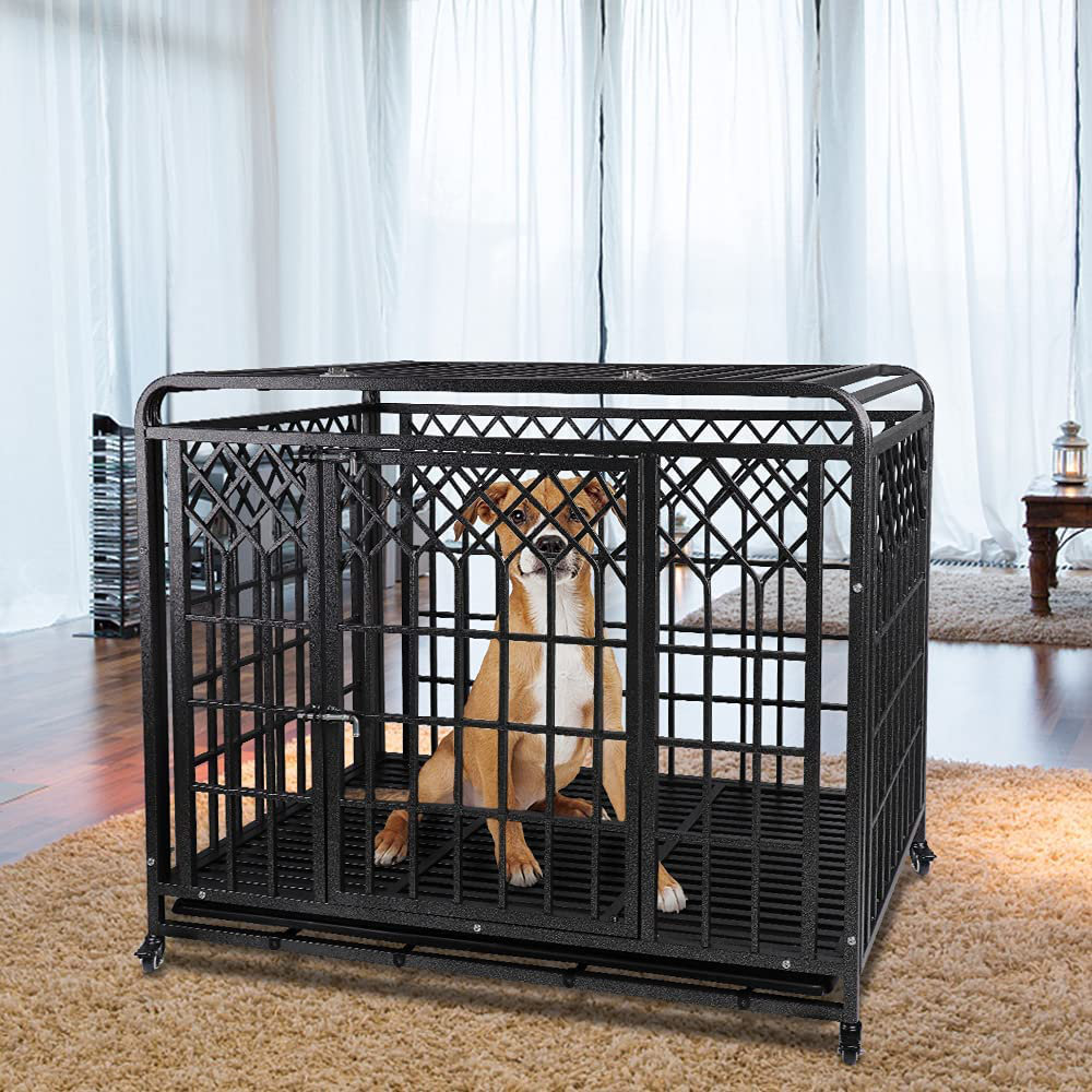 Why Do Dogs Bite Their Cage