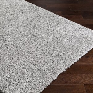 Roberto Gray Area Rug