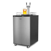 wayfair kegerator