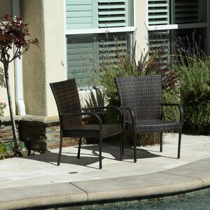 Hawes Outdoor Wicker Chair (Set of 2)