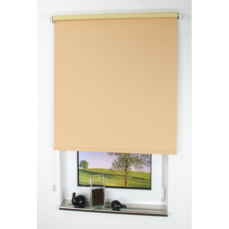 17 Stories Blackout Roller Blind & Reviews Wayfair.co.uk