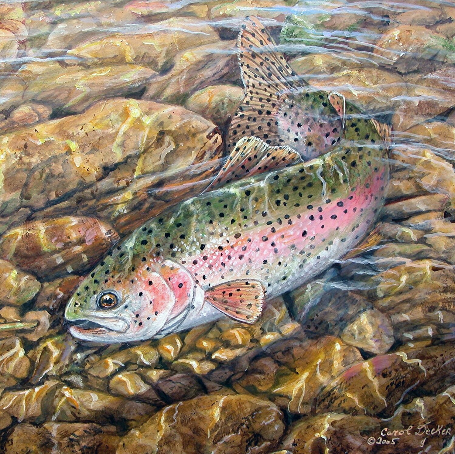 'Rainbow Trout' Painting Print on Wood - Fish Wall Decorations