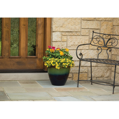 Premium Glaze Decorative Resin Pot Planter Suncast Color: Green/Blue