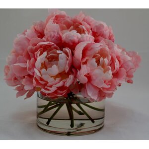Peonies in Glass Cylinder
