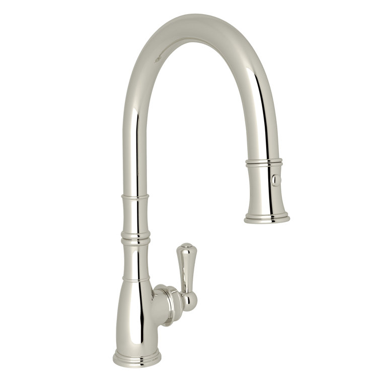 Georgian Era Pull Down Single Handle Kitchen Faucet with Accessories