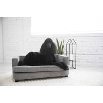 consuelo dog sofa