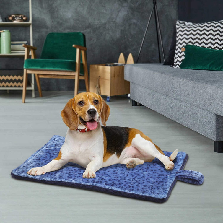 blue beagle crate mat