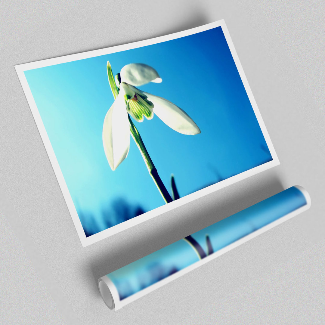 Deal Detail