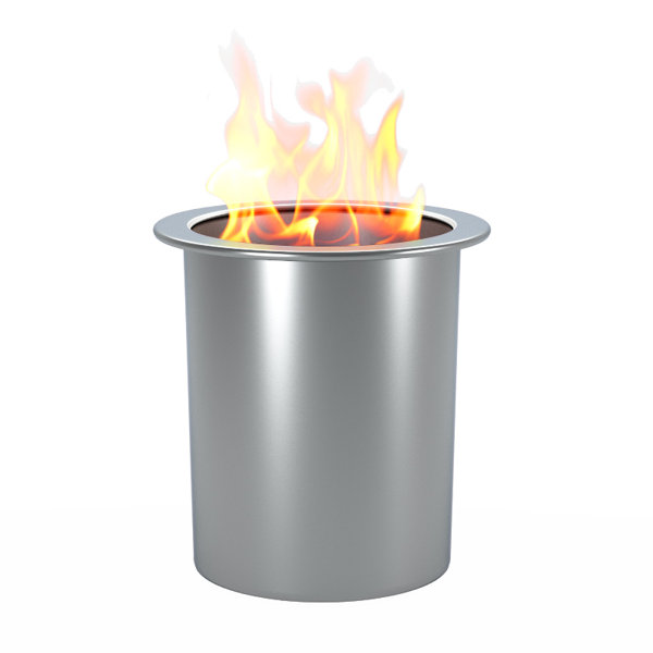 RegalFlame Stainless Steel Bio-Ethanol Fuel Fire Column & Reviews ...