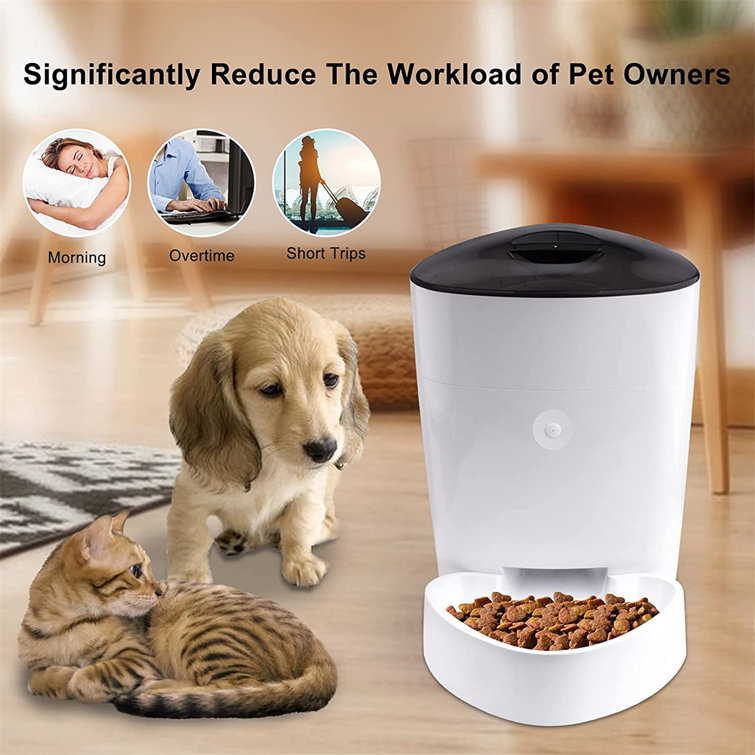 bluetooth dog feeder