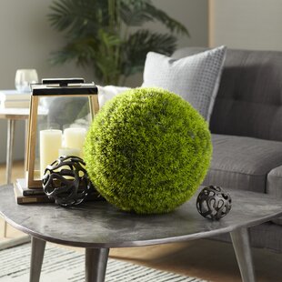 Green Preserved Boxwood Balls in Multiple Sizes for Classic Farmhouse Home Decor