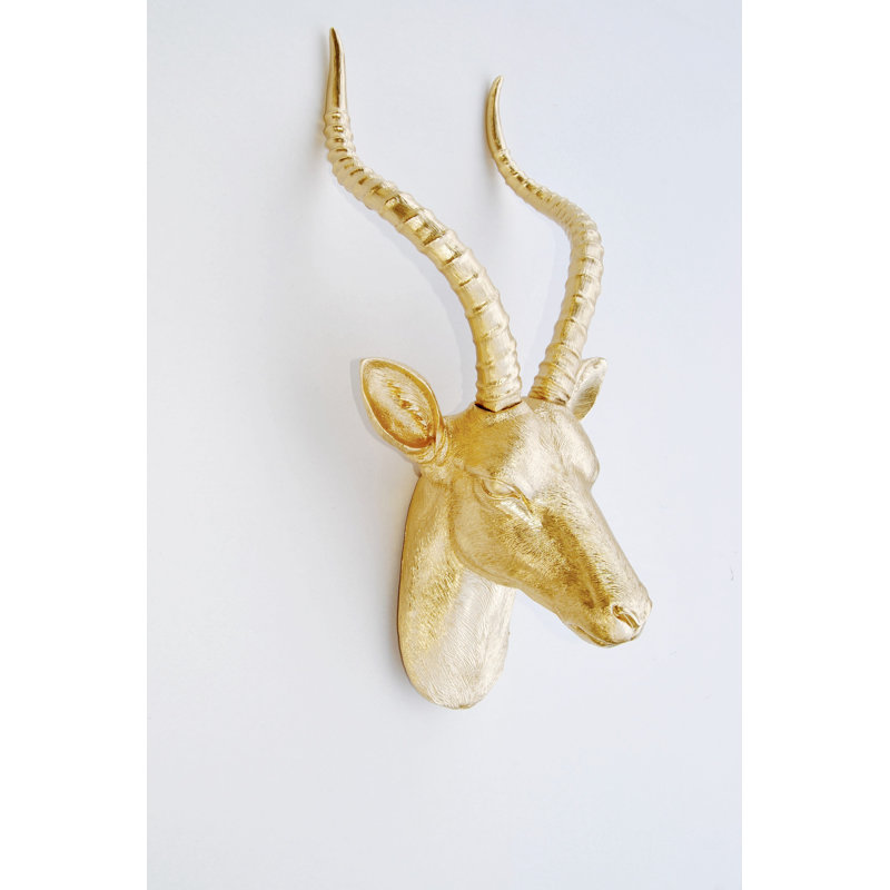 Large Antelope Head Wall Decor Reviews Joss Main