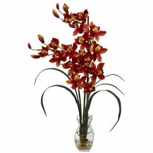 Cymbidium Orchid with Vase