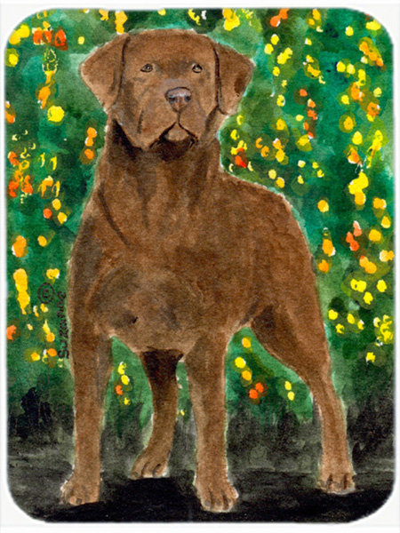 finished chesapeake bay retriever for sale