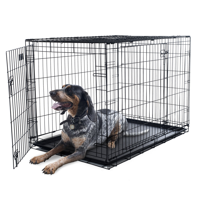 Tucker Murphy Pet Brianna Double Door Foldable Pet Crate Reviews