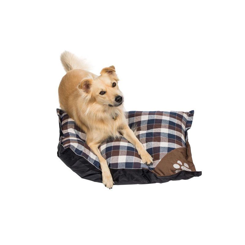 Tucker Murphy Pet Ohanlon Xl Square Pet Pillow With Cushioned