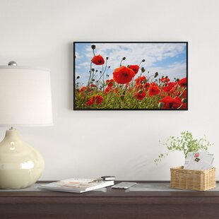 Red Poppy Rose Flower Canvas Print Art Painting Picture Home Hallway Wall Decor