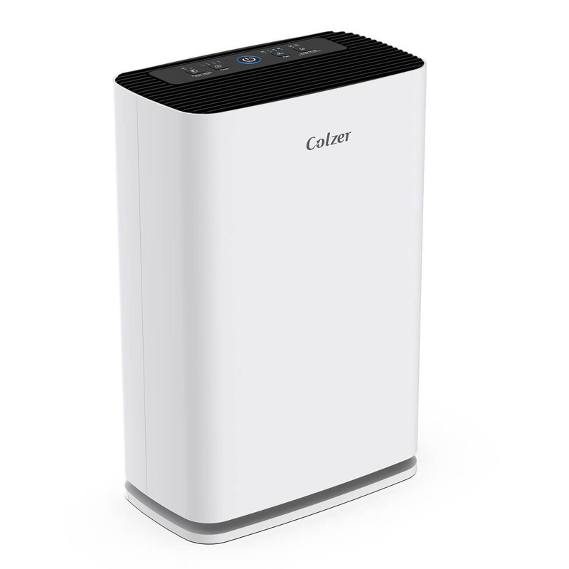 Colzer Air Purifier With Hepa Filter Reviews Wayfair