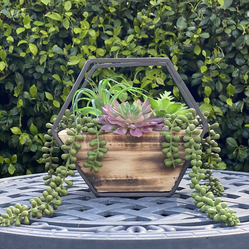 4 Artificial Cactus Succulent in Basket Set