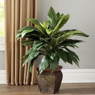 2 Ft To 3 Ft Wood Faux Plants You Ll Love In 2020 Wayfair