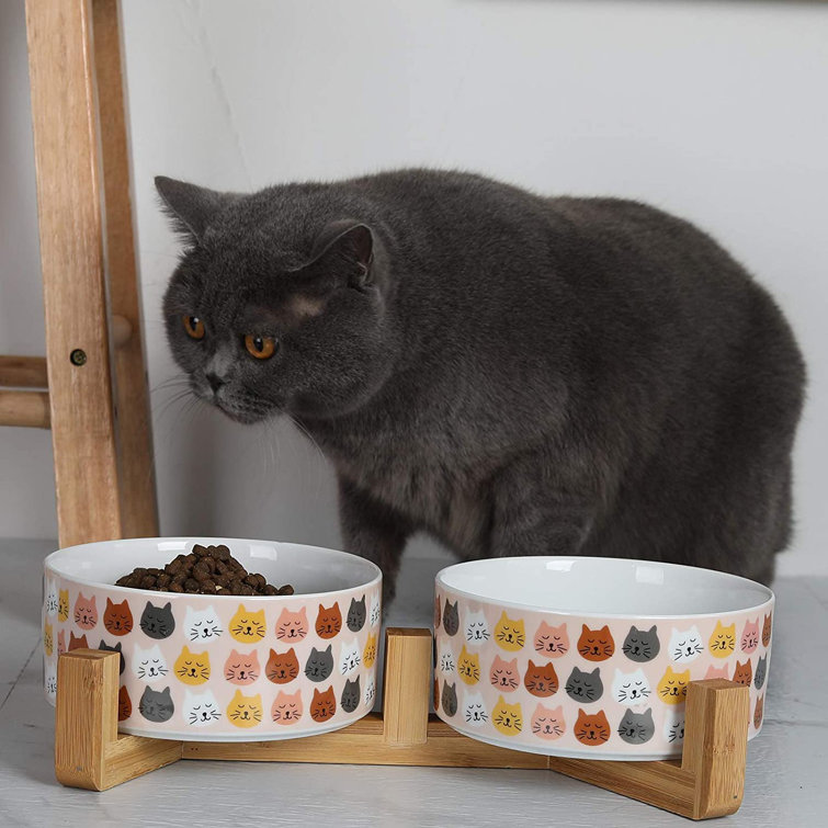 raised cat dishes