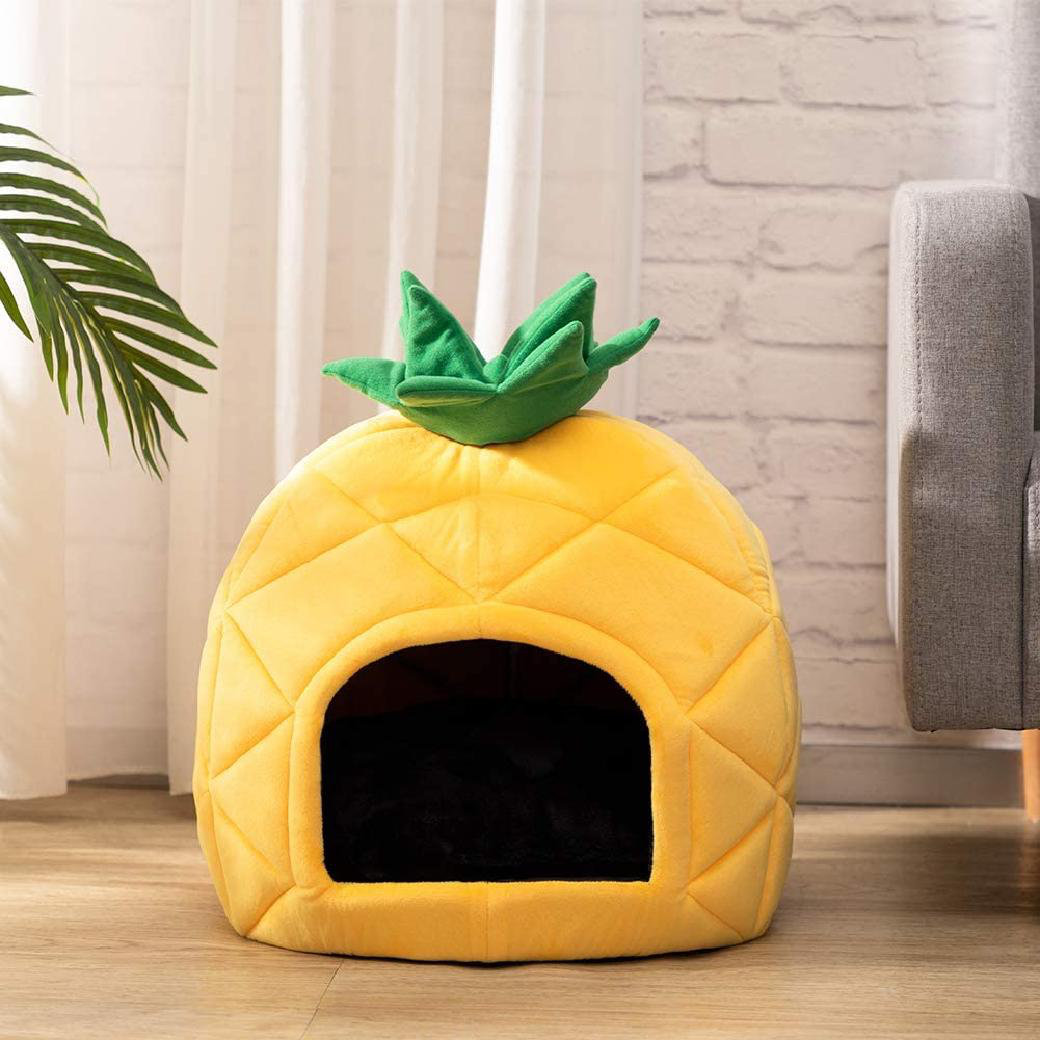 dog bed pineapple