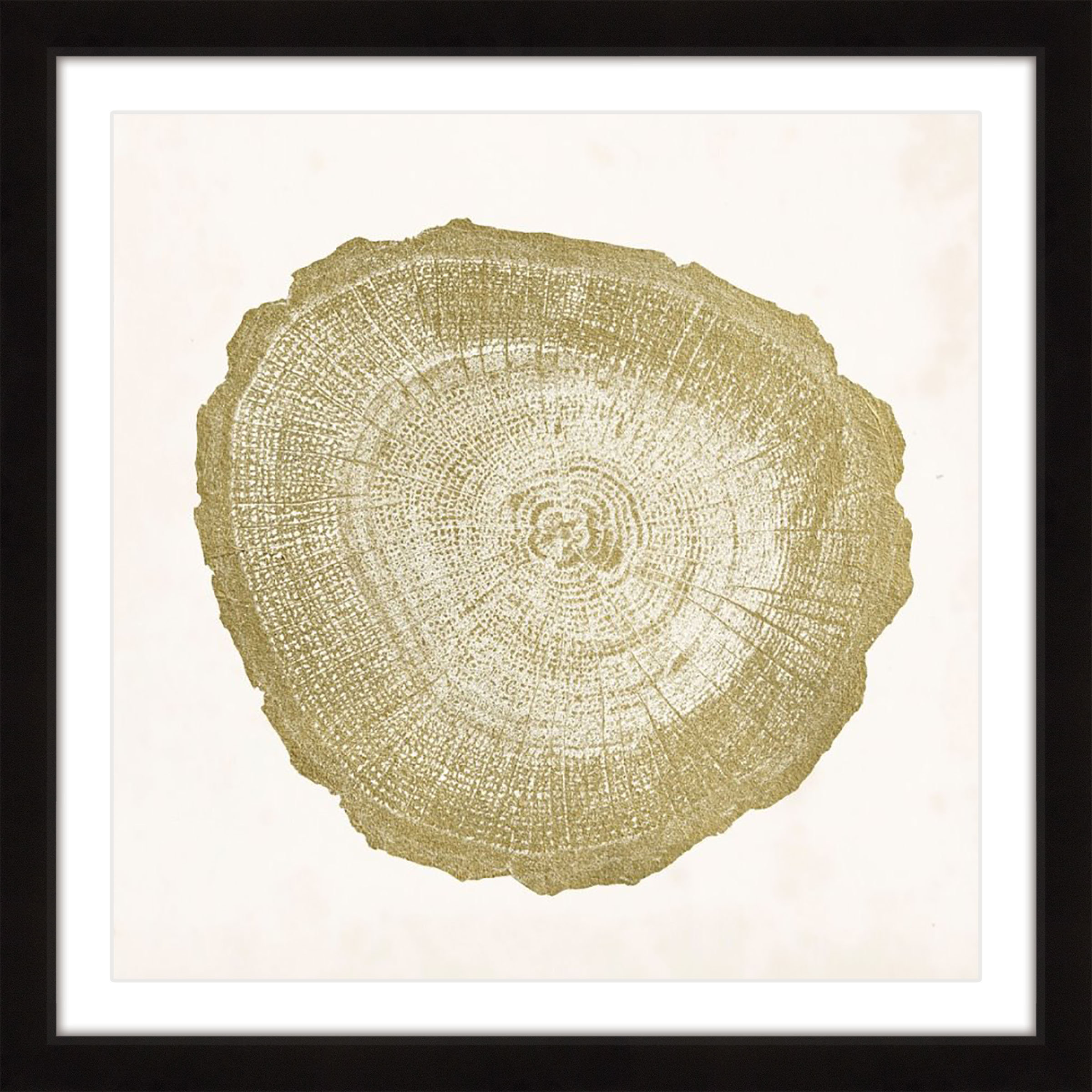 Marmont Hill Tree Ring Iv Framed Painting Print Wayfair