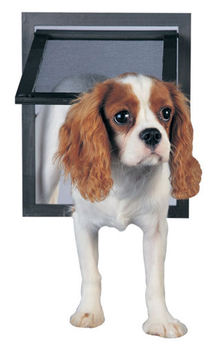 Petsafe Pet Screen Door Reviews Wayfair
