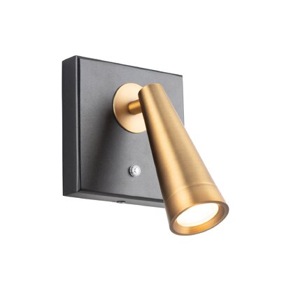 spotlight wall sconce