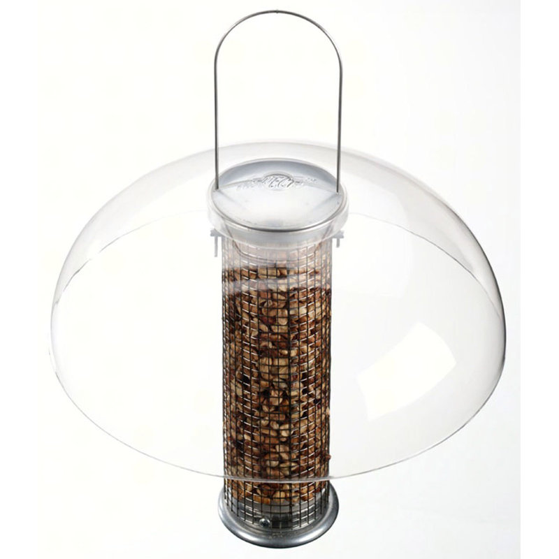Tube Tope Dome in Clear
