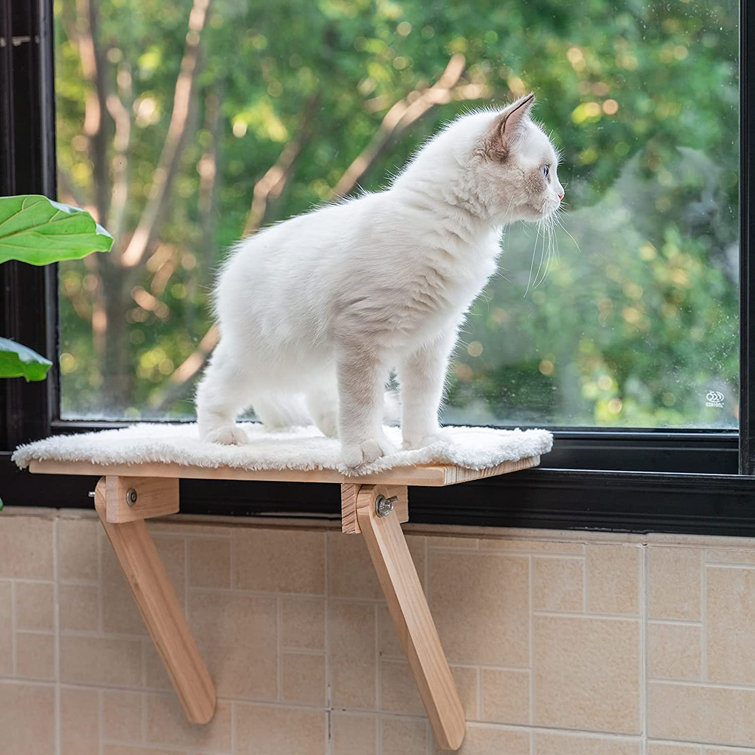 cat window sill perch