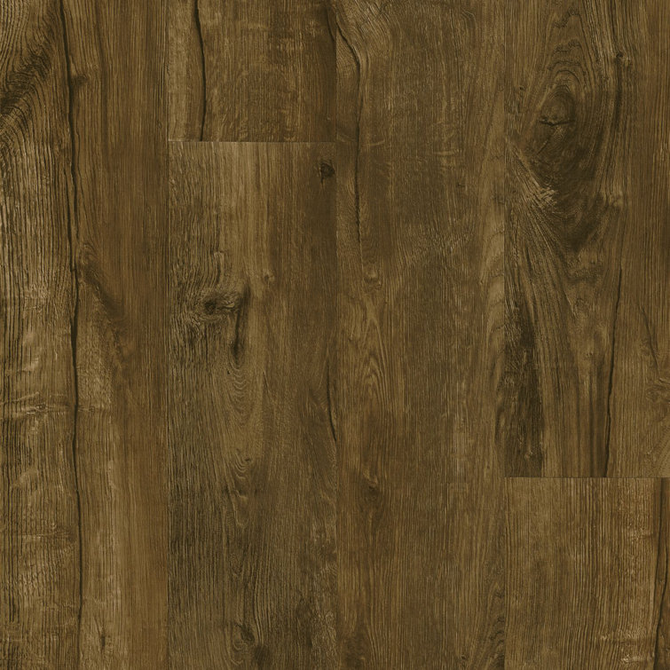 Armstrong Flooring Vivero Best Glue Gallery 6" x 48" x 2.5mm Oak Luxury Vinyl Plank | Wayfair