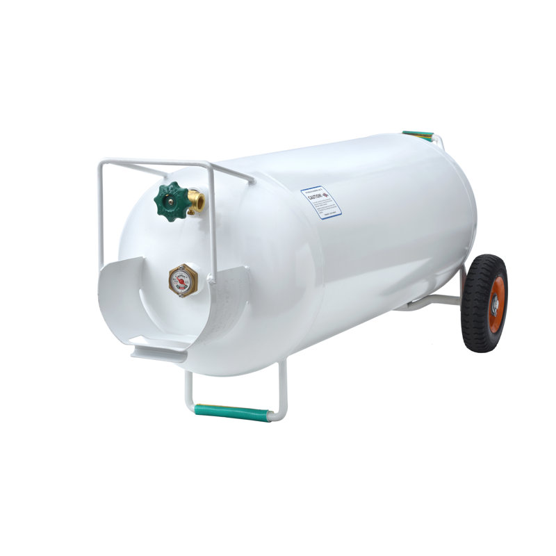 Flame King 100 Lbs Horizontal Vertical Propane Cylinder Pol Valve Wayfair