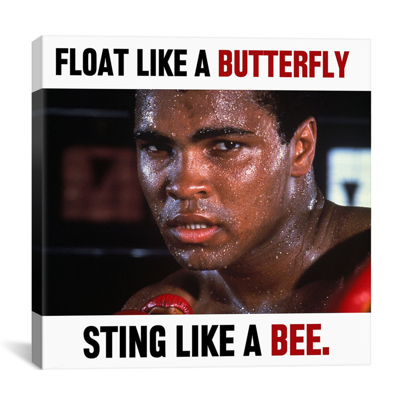 Winston Porter Muhammad Ali Float Like A Butterfly Sting Like A Bee Graphic Art On Canvas Wayfair