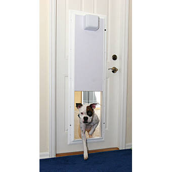 Plexidor Performance Electronic Pet Door Wall Mount Wayfair