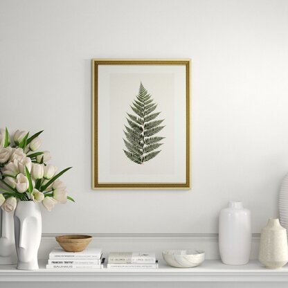 Luxury Ferns Nature Wall Art Perigold