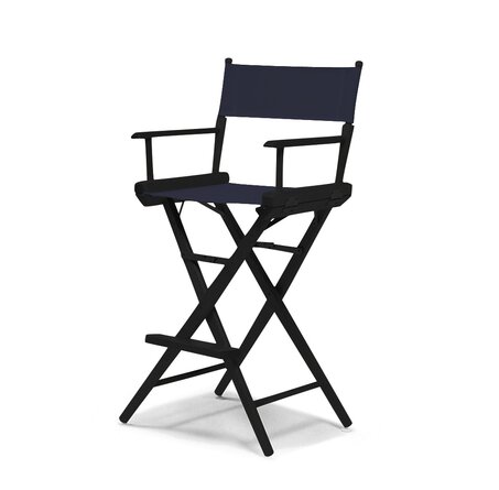 World Famous Folding Director Chair