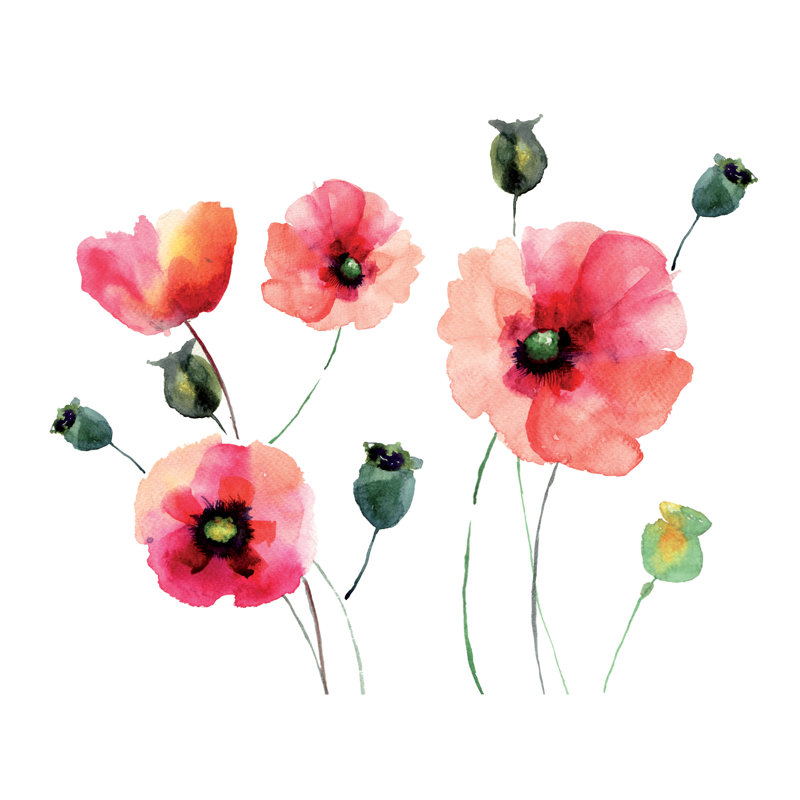 August Grove Watercolor Poppies Wall Decal Reviews Wayfair