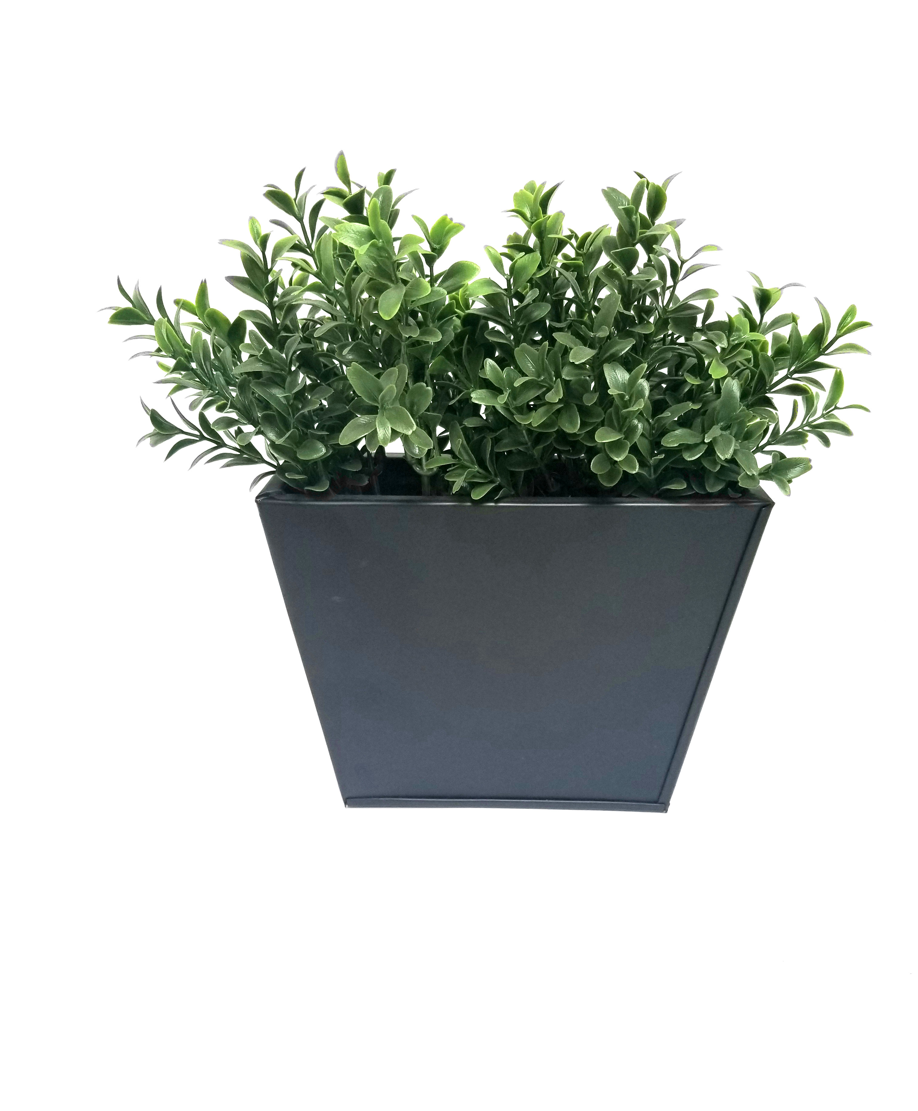 wayfair balcony planters on Creative Branch Boxwood Hedge In Planter Wayfair