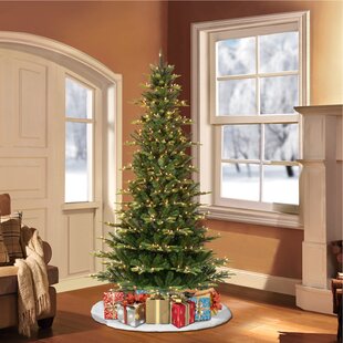 Dunhill fir slim christmas tree 9ft