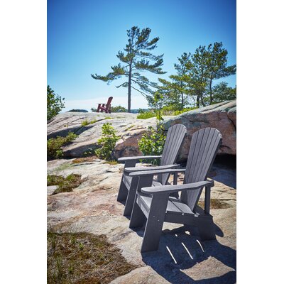 Gray Adirondack Chairs You'll Love in 2020 Wayfair