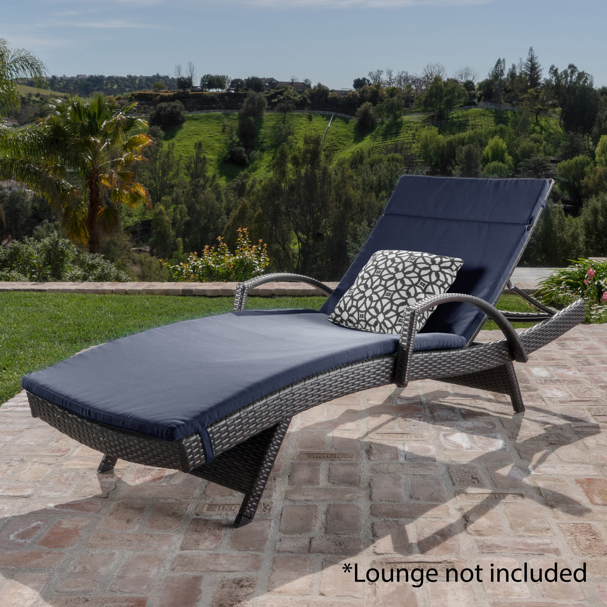 Darby Home Co Indoor Outdoor Chaise Lounge Cushion Reviews Wayfair