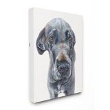 Great Dane Wall Art Wayfair