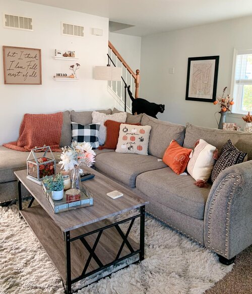 200 Modern Farmhouse Living Room Design Ideas Wayfair