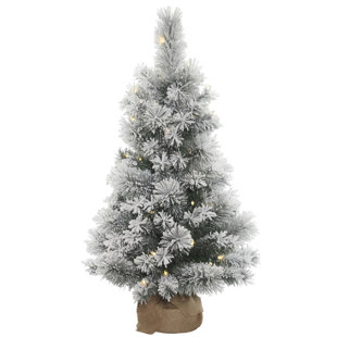 3 Foot White Christmas Trees You Ll Love Wayfair Kersey 3 White Pine Artificial Christmas Tree With 70 Led Clear Lights Stand