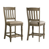 Paola Slat Back 24 Barstool (Set of 2) by Darby Home Co
