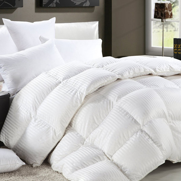 Alwyn Home Big And Bold All Season Down Alternative Comforter Reviews Wayfair Ca
